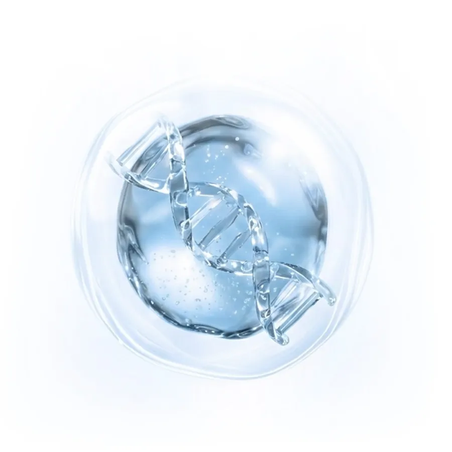 DNA helix inside a clear water drop
